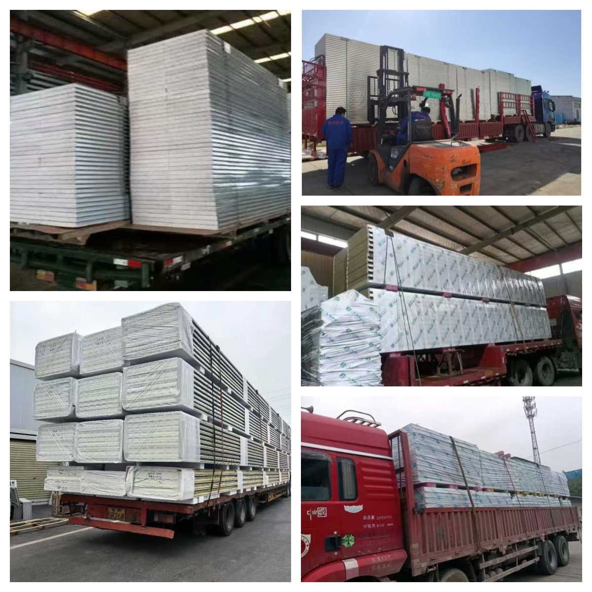 product-1200-1200 product-1200-1200